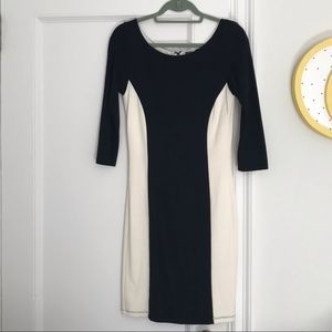 NWT Velvet Brand Black/Cream Bodycon Dress - Sz XS